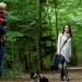 Woodland Walks - pushchair friendly too